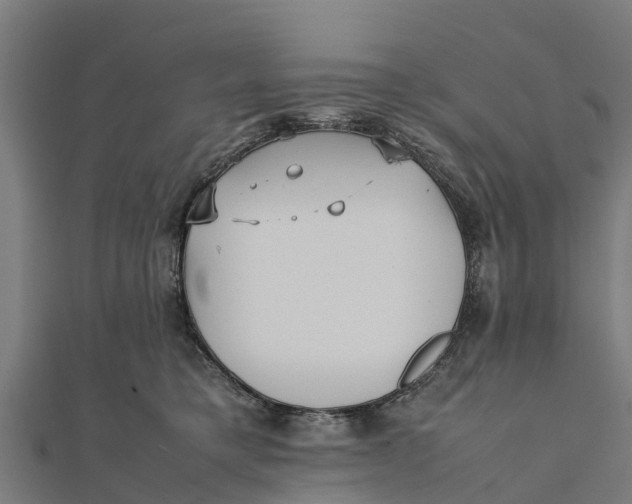 X0000111530421200908041308