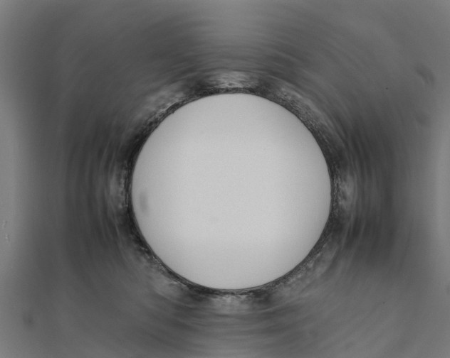 X0000111530422200908041308