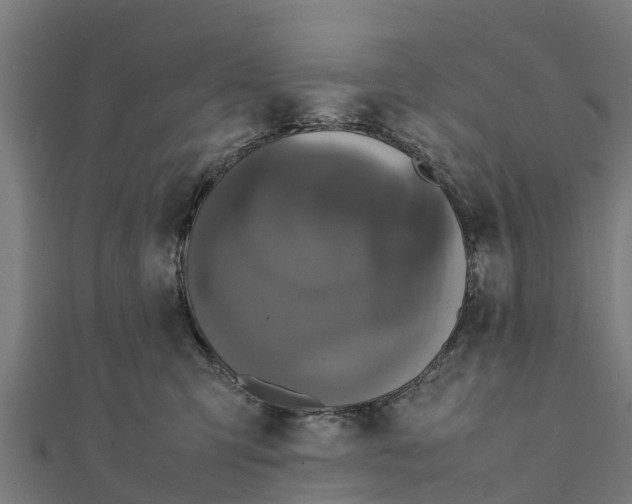 X0000111530423200908041308