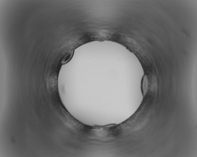 X0000111530425200908041308