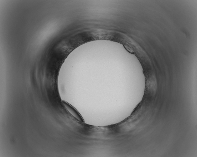 X0000111530429200908041308