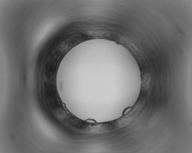 X0000111530430200908041308