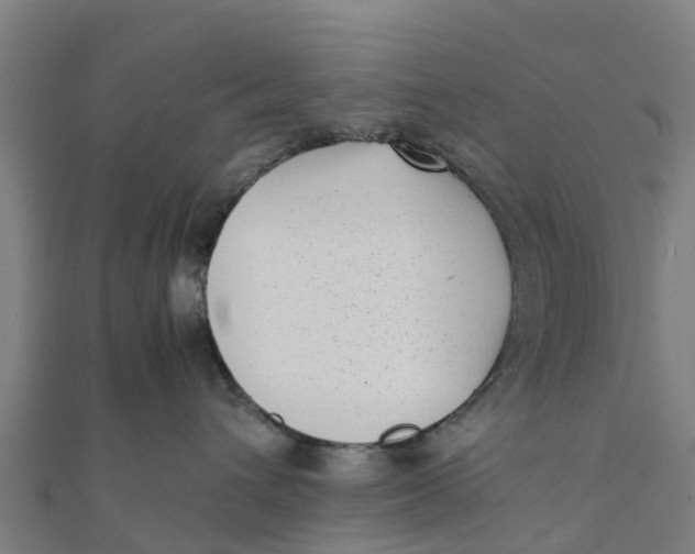 X0000111530432200908041308