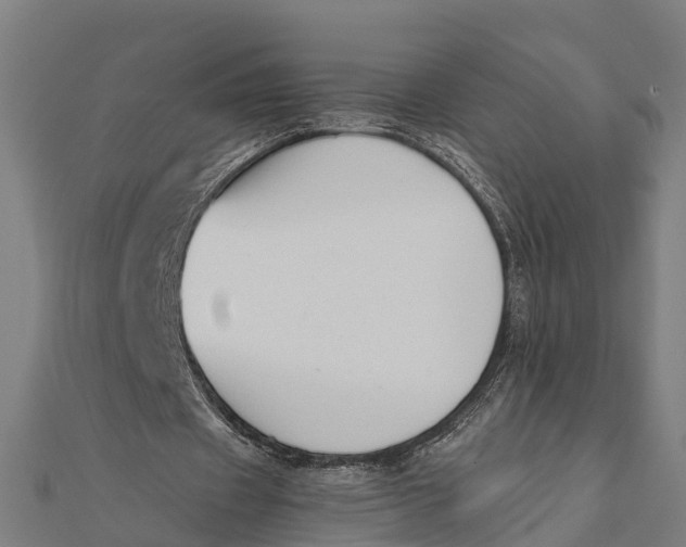 X0000111530433200908041308