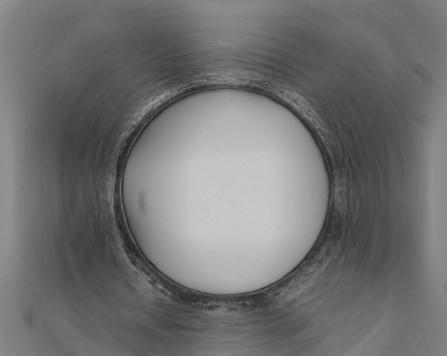 X0000111530434200908041308