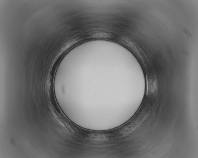 X0000111530435200908041308