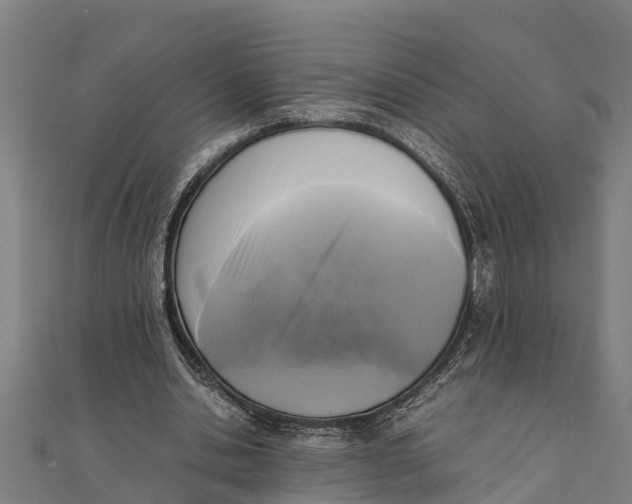 X0000111530438200908041308