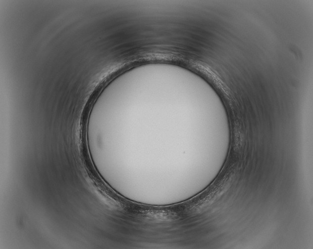 X0000111530439200908041308