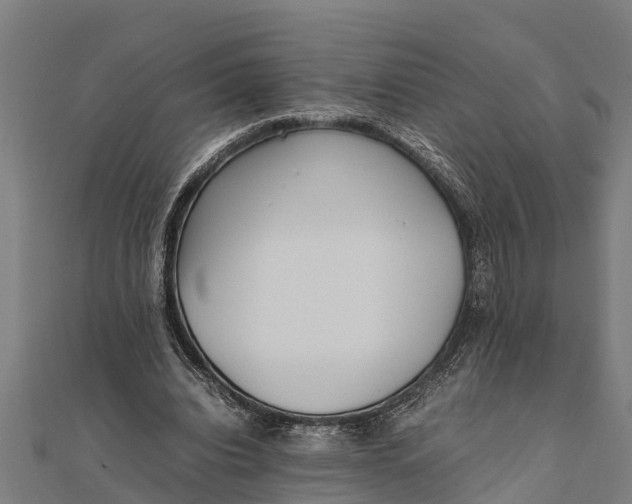 X0000111530440200908041308