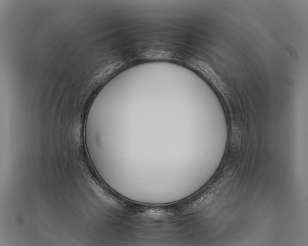 X0000111530441200908041308