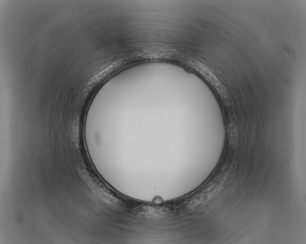 X0000111530442200908041308