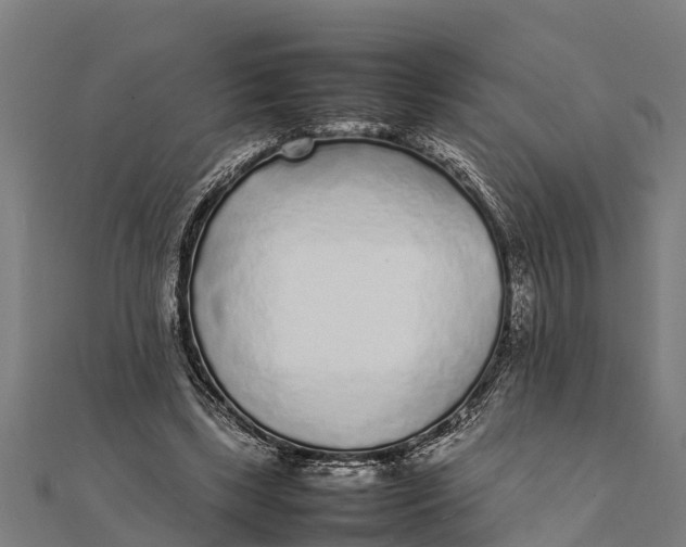 X0000111530443200908041308