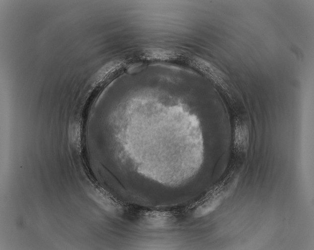 X0000111530444200908041308