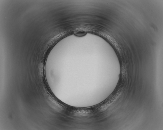 X0000111530445200908041308