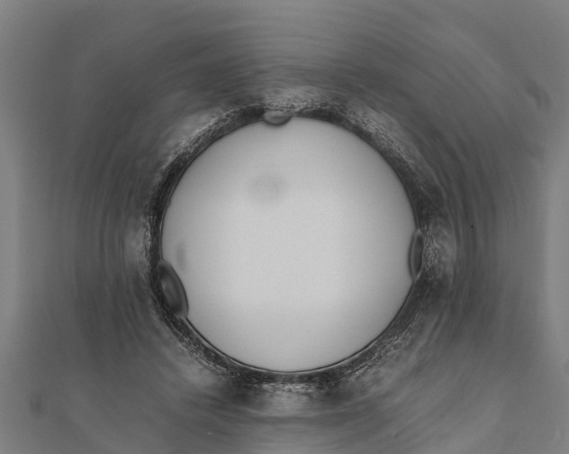 X0000111530448200908041308