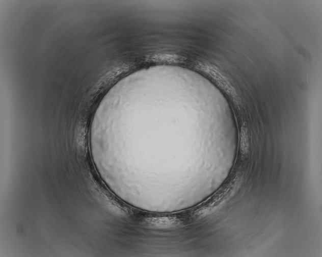 X0000111530449200908041308