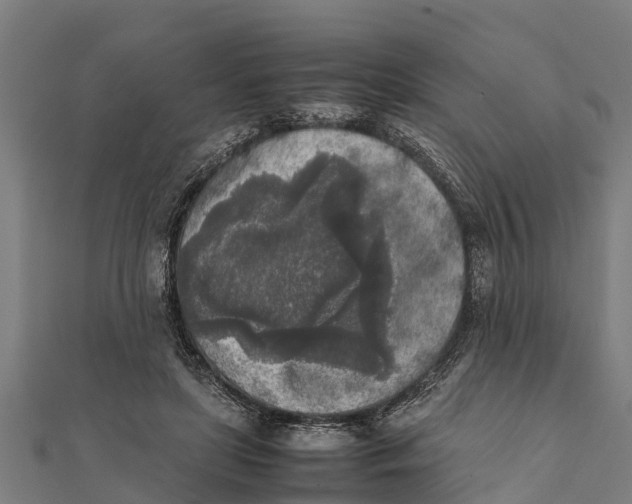 X0000111530451200908041308