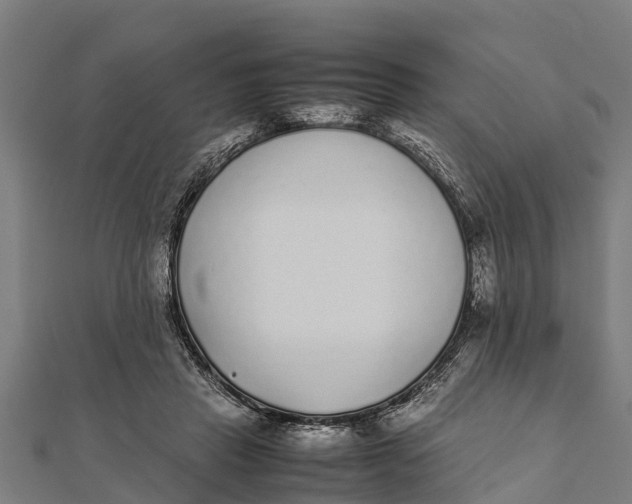 X0000111530453200908041308