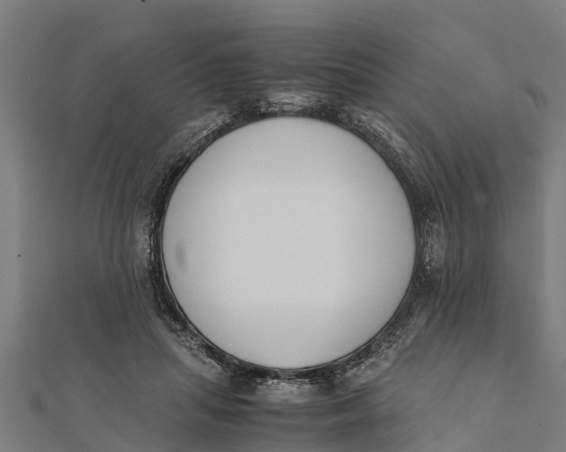 X0000111530455200908041308