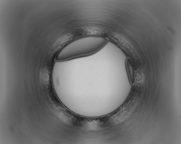 X0000111530456200908041308