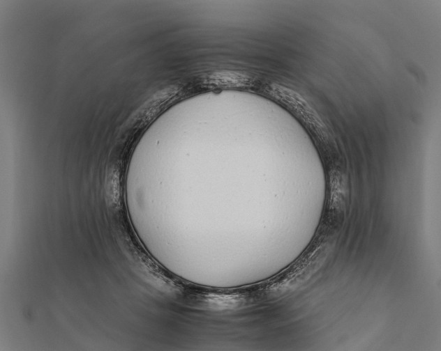 X0000111530457200908041308