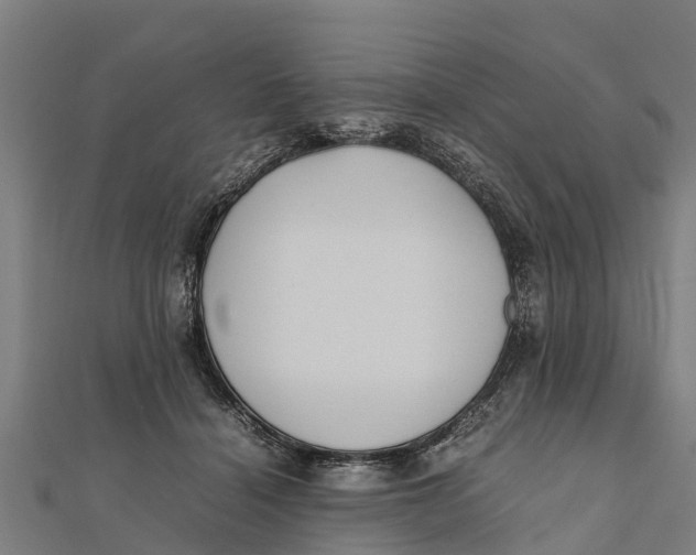 X0000111530460200908041308