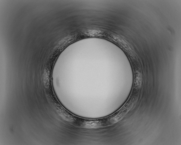 X0000111530461200908041308