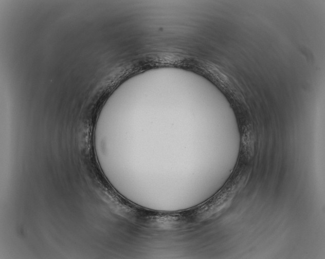 X0000111530462200908041308