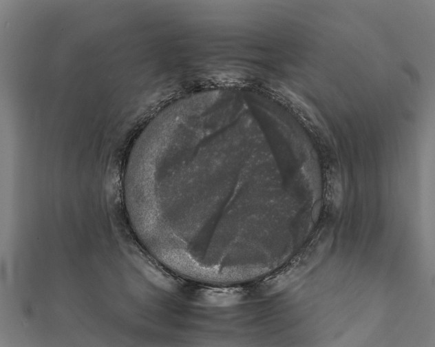 X0000111530465200908041308