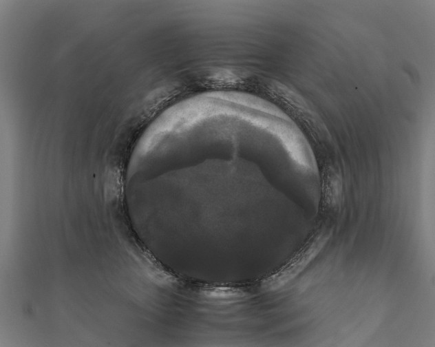 X0000111530467200908041308