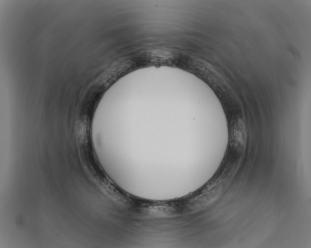 X0000111530468200908041308