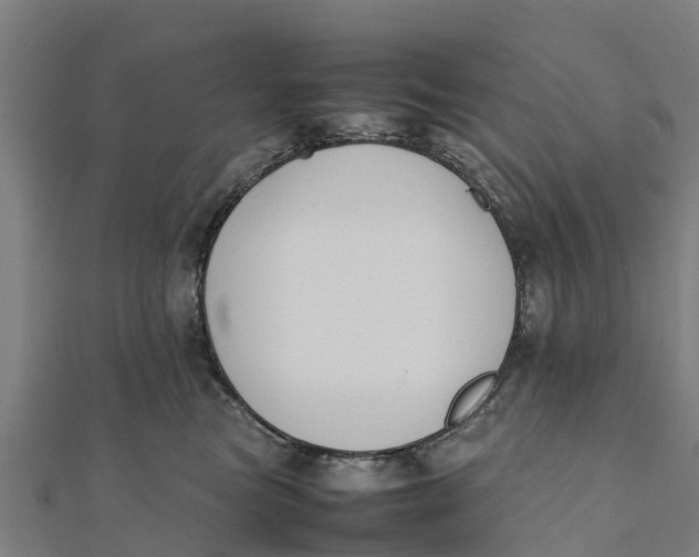 X0000111530473200908041308