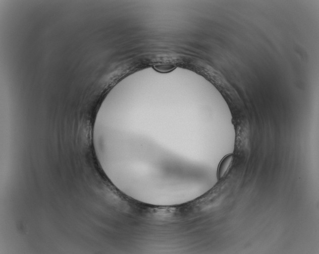 X0000111530474200908041308