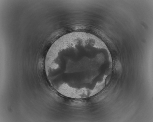 X0000111530475200908041308