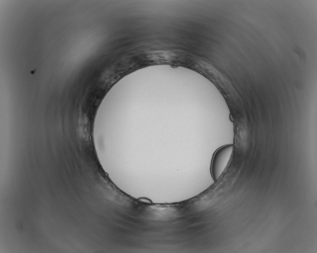 X0000111530477200908041308