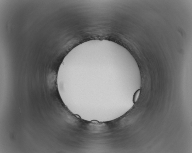 X0000111530480200908041308