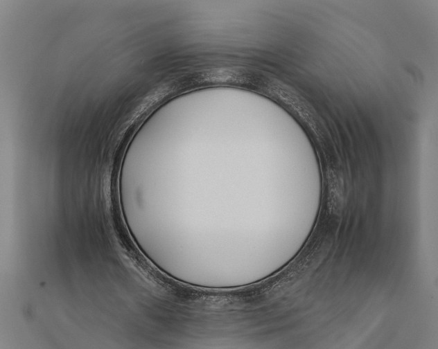 X0000111530482200908041308