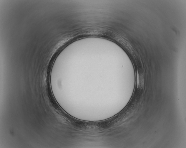 X0000111530483200908041308