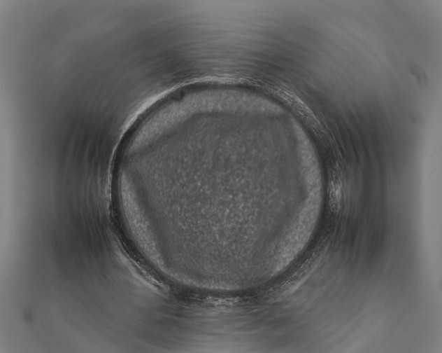 X0000111530484200908041308