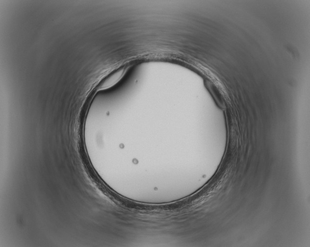 X0000111530485200908041308