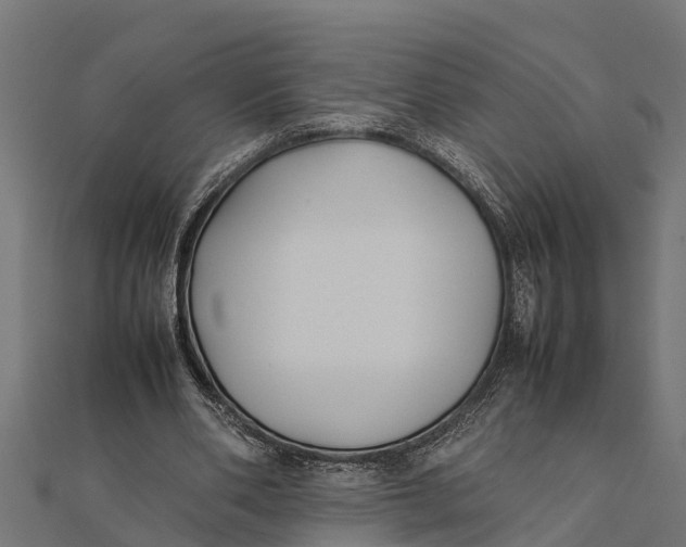 X0000111530486200908041308