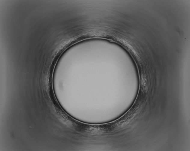 X0000111530487200908041308