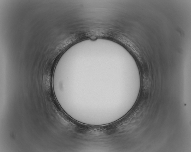 X0000111530489200908041308