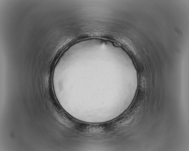 X0000111530491200908041308