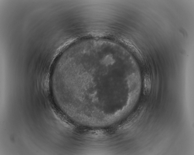 X0000111530492200908041308