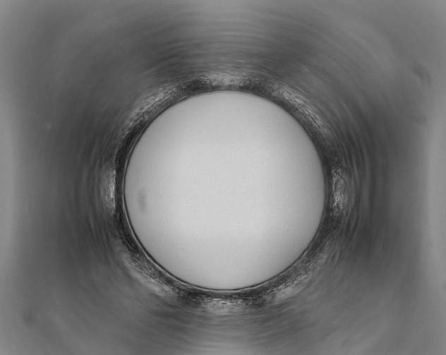 X0000111530494200908041307