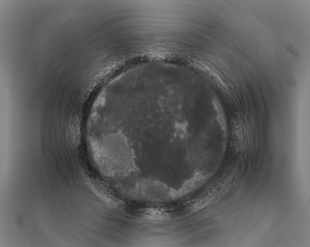 X0000111530496200908041307