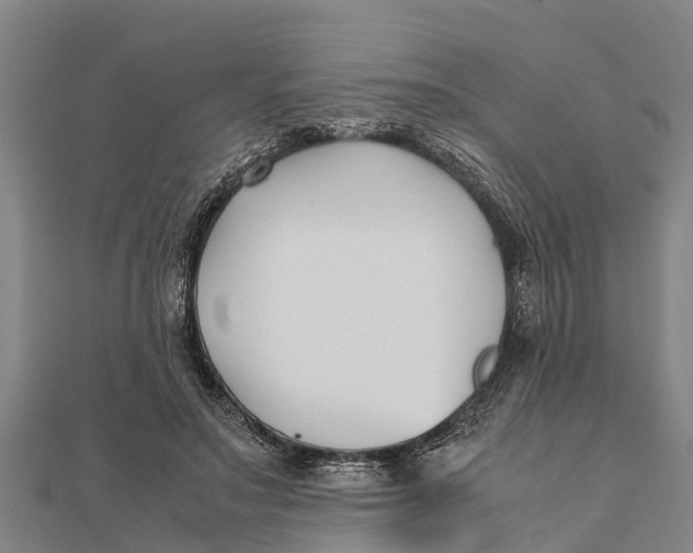 X0000111530499200908041307