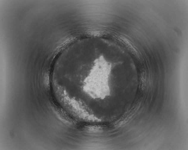 X0000111530500200908041307