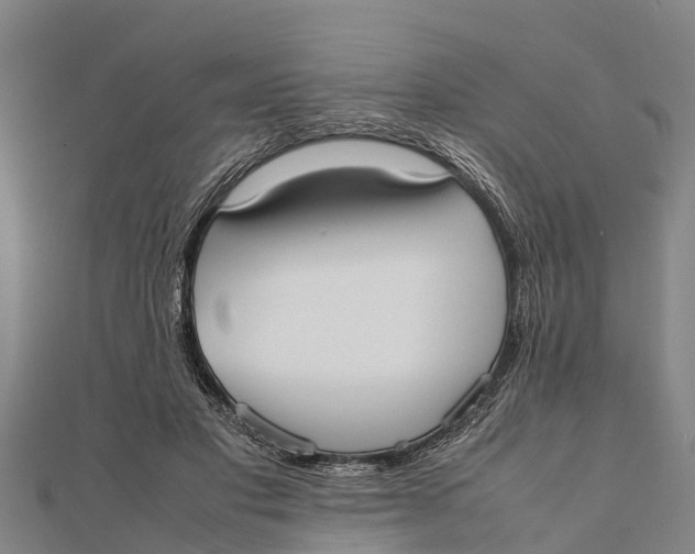 X0000111530501200908041307